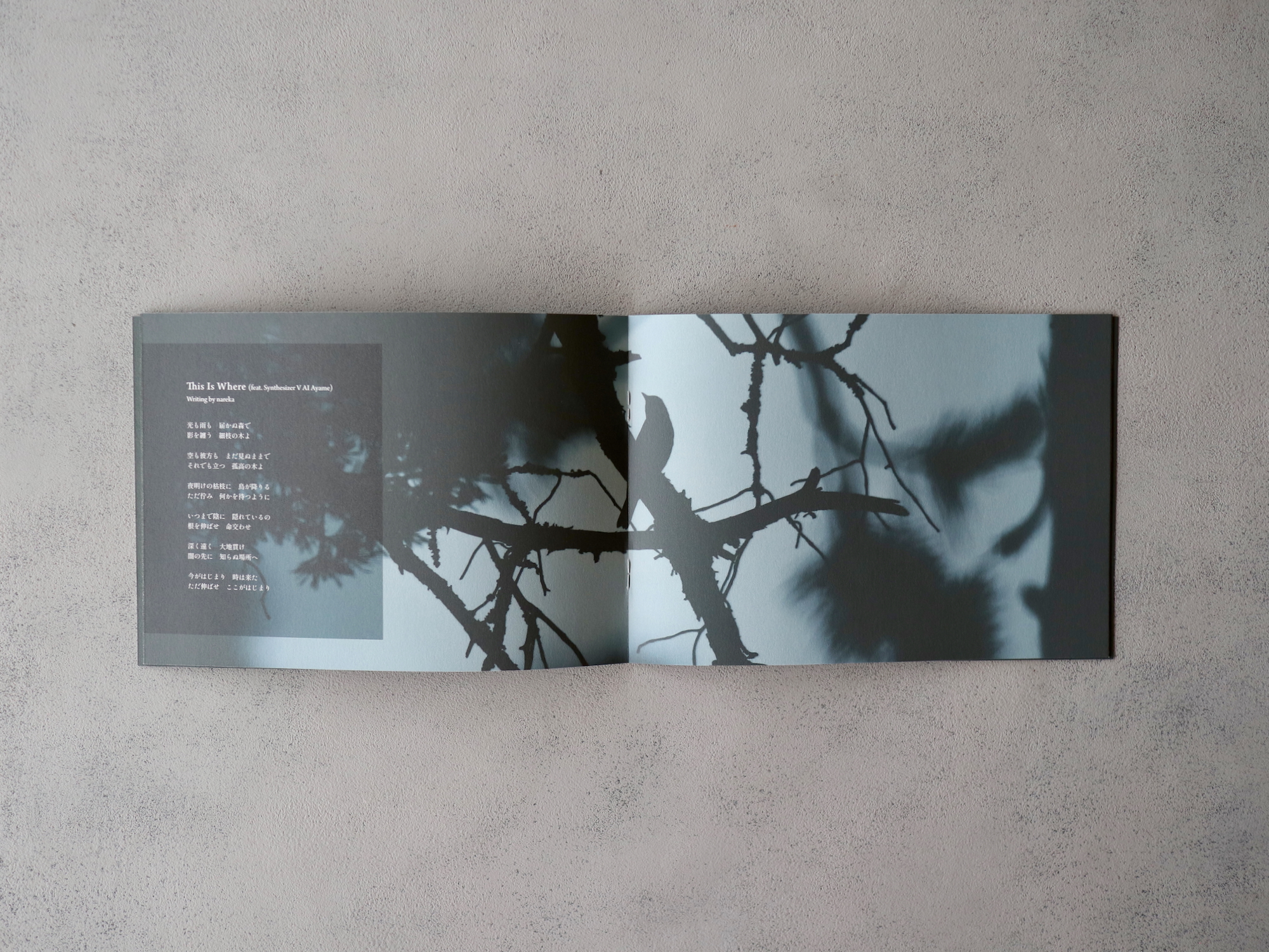 Where the Roots Converge — 5